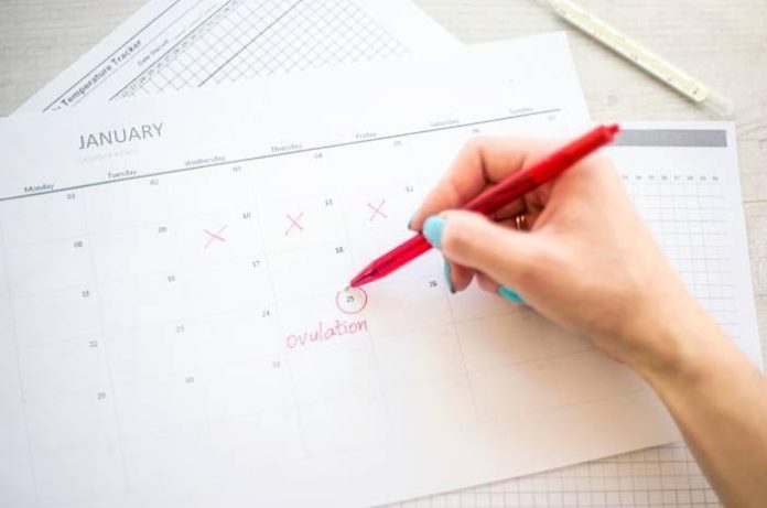 Ketahui Perhitungan Awal dan Akhir Masa Subur